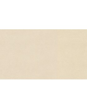 31761 Обои Marburg (Project) (1*12) 10,05x0,53 винил на флизелине-foto2