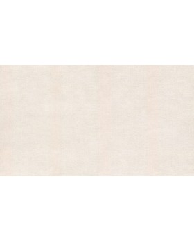 31822 Обои Marburg (Project) (1*12) 10,05x0,53 винил на флизелине 31822 Обои Marburg (Project) (1*12) 10,05x0,53 винил на флизелине