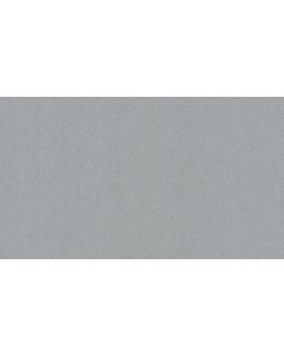 11163909 Обои Lutece (Les Essentiels/Sejours & Chambres) (1*12) 10,05x0,53 винил на флизелине-foto2