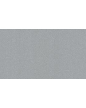 11163909 Обои Lutece (Les Essentiels/Sejours & Chambres) (1*12) 10,05x0,53 винил на флизелине-foto2