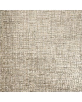 21841 Обои Zambaiti (Trussardi V) (1*6) 10,05x0,70 винил на флизелине