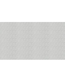 VR 2005 Обои Grandeco (Virtuoso) (1*6) 10,05х1,06  винил на флизелине-foto2