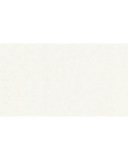 32379 Обои Marburg (Rainbow 2/Natural Vibes) (1*6) 10,05x1,06 винил на флизелине
