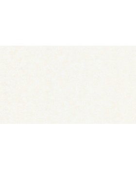 32379 Обои Marburg (Rainbow 2/Natural Vibes) (1*6) 10,05x1,06 винил на флизелине