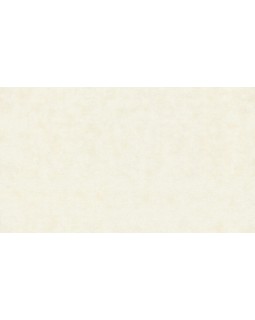 32380 Обои Marburg (Rainbow 2/Natural Vibes) (1*6) 10,05x1,06 винил на флизелине