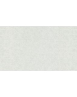 32382 Обои Marburg (Rainbow 2/Natural Vibes) (1*6) 10,05x1,06 винил на флизелине
