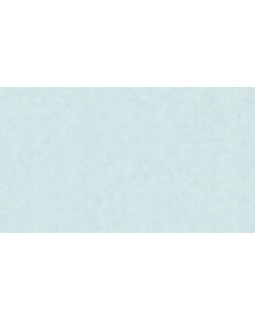 32384 Обои Marburg (Natural Vibes) (1*6) 10,05x1,06 винил на флизелине