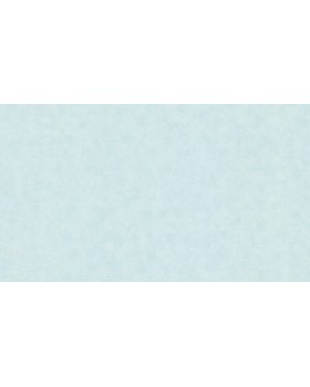 32384 Обои Marburg (Natural Vibes) (1*6) 10,05x1,06 винил на флизелине
