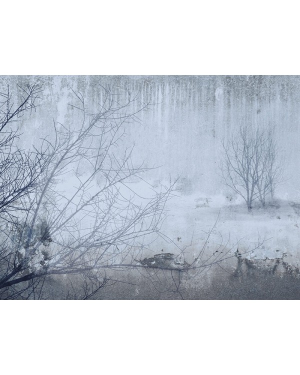 23075 Панно Zambaiti (Architexture) (1*1) 5,10 x 3.00 винил на флизелине