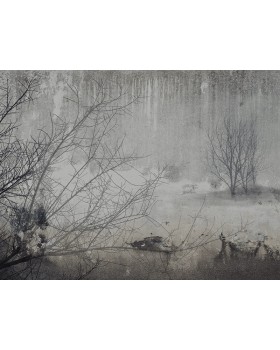 23076 Панно Zambaiti (Architexture) (1*1) 5,10 x 3.00 винил на флизелине
