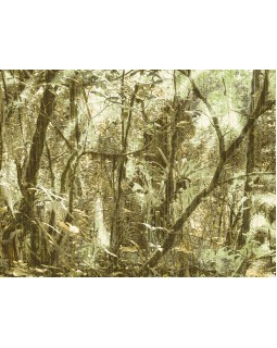 23083 Панно Zambaiti (Architexture) (1*1) 5,10 x 3.00 винил на флизелине