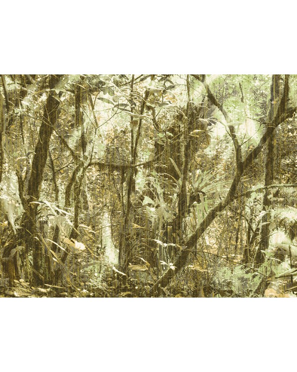 23083 Панно Zambaiti (Architexture) (1*1) 5,10 x 3.00 винил на флизелине
