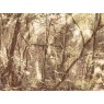 23084 Панно Zambaiti (Architexture) (1*1) 5,10 x 3.00 винил на флизелине