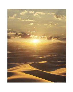 32545 Панно Marburg (Dune) (1*6) 2,70 x 2,12 винил на флизелине