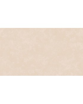 Hg6 003 Обои HYGGE Roll (Hygge) (1*6) 10,05x1,00 флизелин