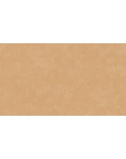 Hg6 004 Обои HYGGE Roll (Hygge) (1*6) 10,05x1,00 флизелин