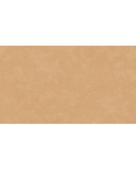 Hg6 004 Обои HYGGE Roll (Hygge) (1*6) 10,05x1,00 флизелин