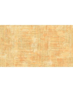 A50001 Обои Grandeco (ATESSA) (1*6) 10,05х1,06  винил на флизелине-foto2