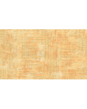 A50001 Обои Grandeco (ATESSA) (1*6) 10,05х1,06  винил на флизелине-foto2