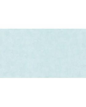 32409 Обои Marburg (Shades) (1*12) 10,05x0,53 винил на флизелине