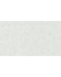 32410 Обои Marburg (Flora/Shades) (1*12) 10,05x0,53 винил на флизелине