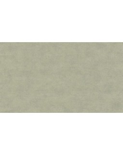 32417 Обои Marburg (Flora/Shades) (1*12) 10,05x0,53 винил на флизелине
