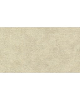 32421 Обои Marburg (Shades) (1*12) 10,05x0,53 винил на флизелине-foto2