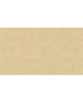 32427 Обои Marburg (Shades) (1*12) 10,05x0,53 винил на флизелине