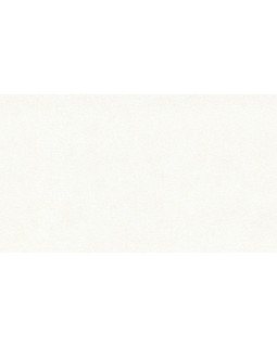 BN 4249351 Обои BN (Tailor 2) (1*6) 10,05x1,06 винил на флизелине-foto2