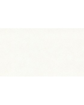 BN 4249351 Обои BN (Tailor 2) (1*6) 10,05x1,06 винил на флизелине-foto2