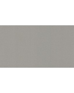 BN 4249350 Обои BN (Tailor 2) (1*6) 10,05x1,06 винил на флизелине
