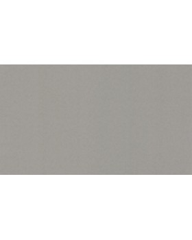 BN 4249350 Обои BN (Tailor 2) (1*6) 10,05x1,06 винил на флизелине