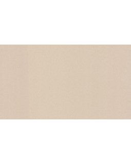 BN 4249358 Обои BN (Tailor 2) (1*6) 10,05x1,06 винил на флизелине