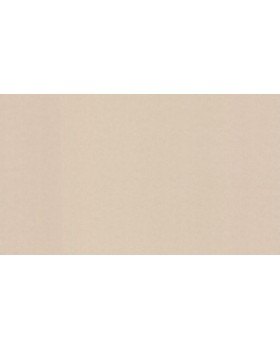 BN 4249358 Обои BN (Tailor 2) (1*6) 10,05x1,06 винил на флизелине
