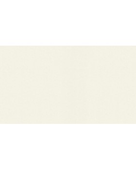 BN 4249353 Обои BN (Tailor 2) (1*6) 10,05x1,06 винил на флизелине BN 4249353 Обои BN (Tailor 2) (1*6) 10,05x1,06 винил на флизелине