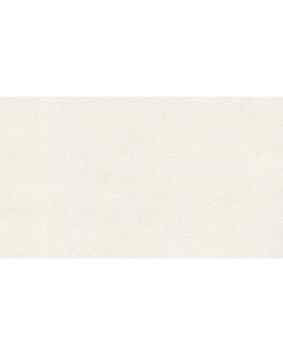 BN 4249353 Обои BN (Tailor 2) (1*6) 10,05x1,06 винил на флизелине-foto2