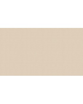 50502 Обои Zambaiti (Mini Classic III) (1*6) 10,05x0,53 винил на бумаге-foto3