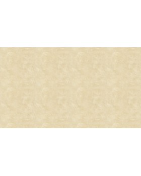 50513 Обои Zambaiti (Mini Classic III) (1*6) 10,05x0,53 винил на бумаге-foto3