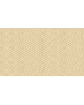 50514 Обои Zambaiti (Mini Classic III) (1*6) 10,05x0,53 винил на бумаге-foto3