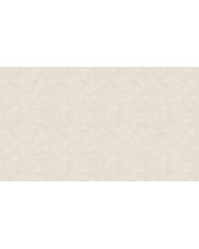 50516 Обои Zambaiti (Mini Classic III) (1*6) 10,05x0,53 винил на бумаге-foto3