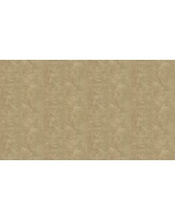 50519 Обои Zambaiti (Mini Classic III) (1*6) 10,05x0,53 винил на бумаге-foto3