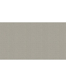 50544 Обои Zambaiti (Mini Classic III) (1*6) 10,05x0,53 винил на бумаге-foto3