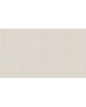 50545 Обои Zambaiti (Mini Classic III) (1*6) 10,05x0,53 винил на бумаге-foto3