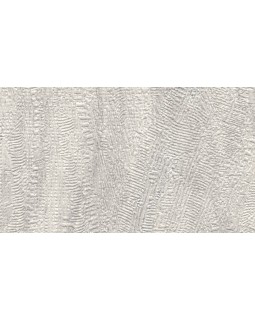 US 1202 Обои Grandeco (Universe 2023) (1*6) 10,05х1,06  винил на флизелине-foto2