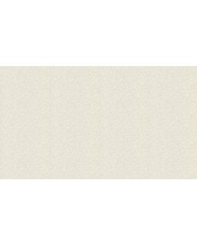 US 1303 Обои Grandeco (Universe 2023) (1*6) 10,05х1,06  винил на флизелине-foto3