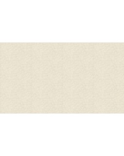 US 1305 Обои Grandeco (Universe 2023) (1*6) 10,05х1,06  винил на флизелине-foto3