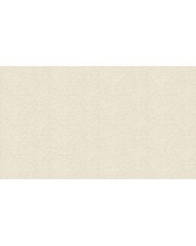 US 1305 Обои Grandeco (Universe 2023) (1*6) 10,05х1,06  винил на флизелине-foto3