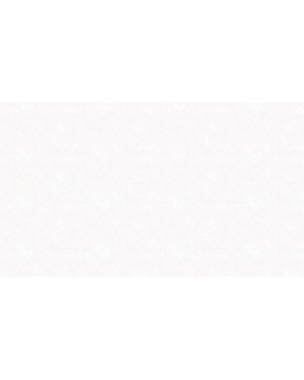 Hg10 001 Обои HYGGE Roll (Summer) (1*6) 10,05x1,00 флизелин-foto2