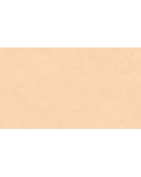 Hg10 003 Обои HYGGE Roll (Summer) (1*6) 10,05x1,00 флизелин