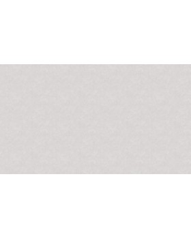 Hg10 001/2 Обои HYGGE Roll (Summer) (1*6) 10,05x1,00 флизелин-foto2